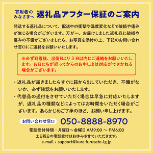 大崎下島産 栽培期間中農薬不使用 瀬戸内レモン 10kg