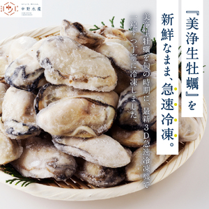 中野水産 美浄生牡蠣 冷凍むき身 1kg (解凍後 約850g）
