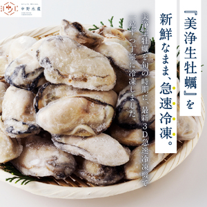 【先行受付】中野水産 美浄生牡蠣 冷凍むき身 1kg (解凍後 約850g）【2025年2月中旬以降順次発送】カキ かきむき身 殻むき不要 便利 簡単解凍 アレンジいろいろ カキフライにも 産地直送 送料無料 国産 瀬戸内 広島県 呉市 冷凍牡蠣 冷凍かき 冷凍カキ むき身 牡蠣むき身 かきむき身 