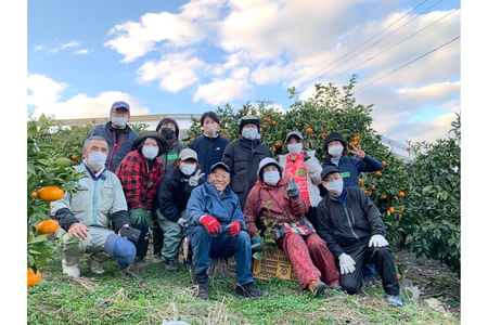 とびしまレモン苗木１本オーナー権１年間 オーナー制度 フルーツ 植樹 地域支援 地域応援 園地来訪 お世話体験 広島県 呉市 ku118-014-r