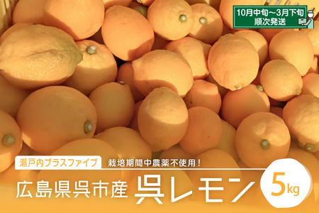 広島県呉市大崎下島産 レモン 約5kg | 広島県呉市 | ふるさと納税