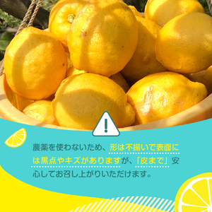 【2025年12月上旬～発送】【栽培期間中農薬不使用】有機JAS認証 皮まで美味しい！希少な国産オーガニックレモン 約2kg ku026-001-25