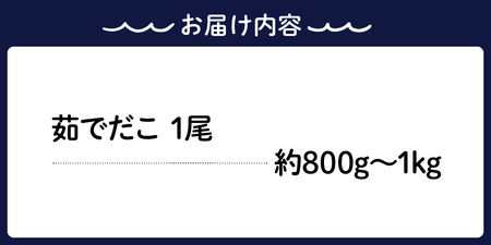 冷凍 茹でだこ 1尾 (約800g～1kg) たこ タコ 肉厚 正月 刺身 酢の物 唐揚げ たこ焼き 広島県 呉市