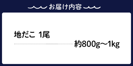 冷凍 国産 地だこ 1尾 (約800g～1kg) 国産たこ タコ 肉厚 正月 刺身 酢の物 唐揚げ たこ焼き  炒め物 広島県 呉市