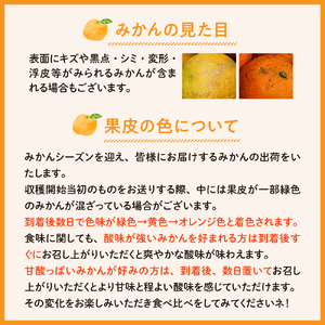 【2026年2月中旬～発送】家庭用島デコちゃん約5kg ku011-029-25