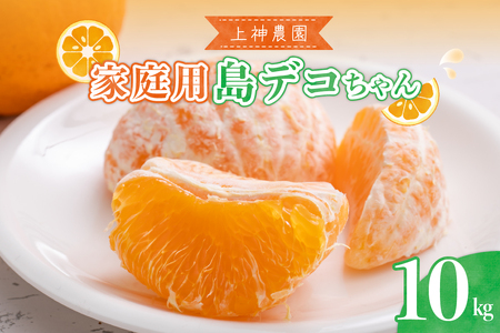 【2026年2月中旬～発送】家庭用島デコちゃん約10kg ku011-030-25