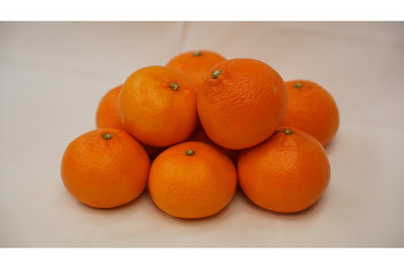 【2026年2月初旬～発送】【規格外品】上神農園 の 広島県産 せとか 約5kg ku011-031-25