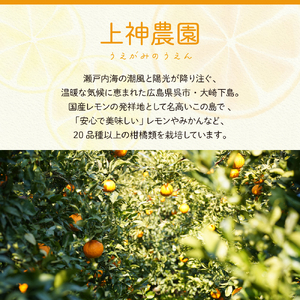 【2025年11月~発送】ジュース用 レモン 約10kg ku011-034-25