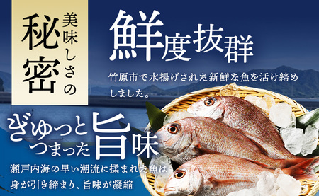 瀬戸内「天然」鯛しゃぶセット（4人前・急速凍結）| 魚介類 海の幸 海鮮 国産 日本産 広島県産 即日加工 急速凍結 鮮度抜群 しゃぶしゃぶ マダイ アラ 魚 瀬戸内海 刺身