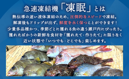 瀬戸内「天然」鯛しゃぶセット（4人前・急速凍結）| 魚介類 海の幸 海鮮 国産 日本産 広島県産 即日加工 急速凍結 鮮度抜群 しゃぶしゃぶ マダイ アラ 魚 瀬戸内海 刺身