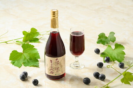 たけはらぶどうゼリー 6個入りとジュース 2本のセット | 竹原 ゼリー ジュース ぶどう ブドウ 葡萄 キャンベル 果汁100% フルーツ 果物 デザート 加工品 爽快 さわやか 国産 お取り寄せ 広島県 送料無料