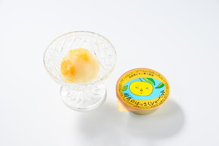 因島のはっさくシャーベット(未凍結)12個入り