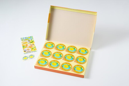 因島のはっさくシャーベット(未凍結)12個入り