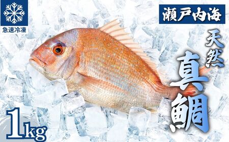 瀬戸内 天然真鯛 丸ごと姿(うろこ・内臓除去済) 2～3匹入り 合計1kg｜たい タイ 鯛 真鯛 急速冷凍 下処理済み 刺身 焼き魚 塩焼き カルパッチョ【お正月 おせち お食い初め 百日祝い 祝い事におすすめ】