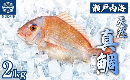 瀬戸内 天然真鯛 丸ごと姿(うろこ・内臓除去済) 4～6匹入り 合計2kg｜たい タイ 鯛 真鯛 急速冷凍 下処理済み 刺身 焼き魚 塩焼き カルパッチョ【お正月 おせち お食い初め 百日祝い 祝い事におすすめ】