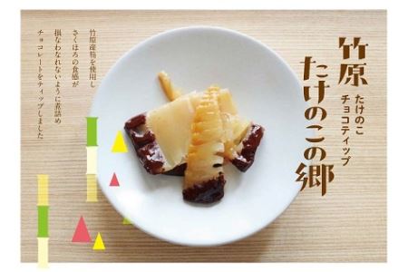 Da340 タケノコスイーツ「タケノコの郷」16袋