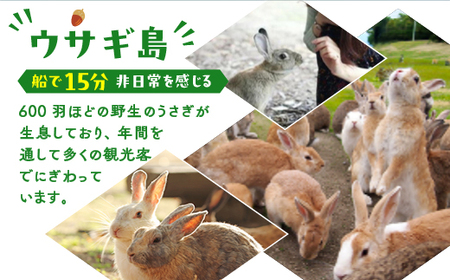 うさぎ島 手ぶらでキャンプペア宿泊券(24,000円相当)