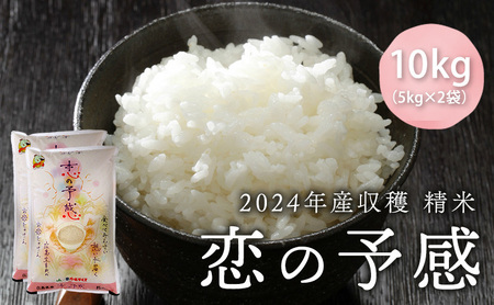 2024年産収穫「恋の予感」精米10kg（5kg×2袋）【 お米 ライス 白米 ご飯 炭水化物 主食 おにぎり 直送 新品種 やや大粒 もちもち 弾力 お弁当 広島県産 】※2024年11月下旬頃より順次発送予定