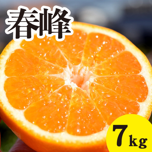 みかん【先行受付】【2026年3月上旬以降発送】甘味が強くむきやすい 希少な品種 春峰 ＜約7kg＞ 広島 三原 佐木島 鷺島みかんじま 017026