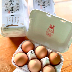 【お試し】 瀬戸内柑太郎 『島たまご』平飼い有精卵 36個(34個＋割れ補償2個)  平飼い 純国産鶏 コーチン種 卵 たまご 佐木島 三原 広島 017034