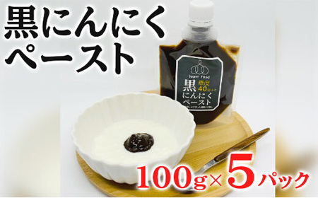 黒にんにくペースト 100g×5パック セット (1) 黒にんにく にんにく 調味料