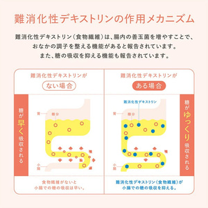 マイ・フローラ サラダ 700ml × 2本 2週間分 野村乳業 104005