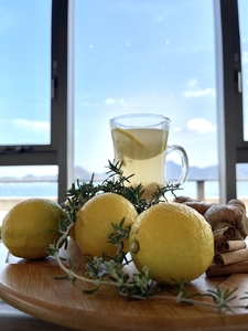 【ゾーナ・フォルトゥナート】お食事券3,000円分（瀬戸内海を一望できる開放的な空間で、厳選した広島の味覚を堪能できるリストランテ） 087001