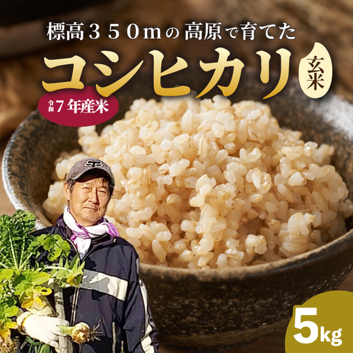 【令和7年】コシヒカリ 玄米 5kg こしひかり ごはん お米 米 181004
