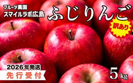 【先行受付】＜訳あり＞ ふじりんご5kg 2026年11月下旬頃～順次発送予定 フルーツ 果物 りんご リンゴ 林檎 新鮮 傷あり 産地直送 広島県三原市 059011