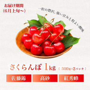 《2026年度先行受付》【フルーツ定期便全5回】 大容量 さくらんぼ 梨 ぶどう りんご いちご 2026年6月～発送 豪華フルーツ 詰め合わせ 採れたて 新鮮 産地直送 果物 広島県 三原市 059014