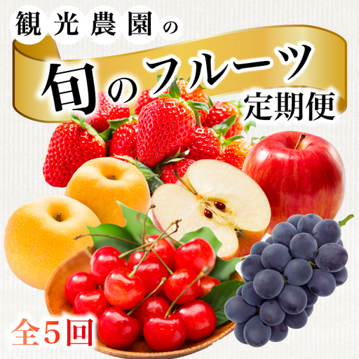 《2026年度先行受付》【フルーツ定期便全5回】 さくらんぼ 梨 ぶどう りんご いちご 豪華フルーツ 詰め合わせ 採れたて 新鮮 産地直送 広島県 三原市 059021