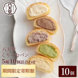 2026年1月4日まで≪特別寄附額≫【八天堂】とろけるくりーむパン 10個詰合せ (5種×2個) クリームパン 菓子パン スイーツ カスタード 生クリーム チョコレート 抹茶 フローズン 冷凍 ギフト すいーつ 015014