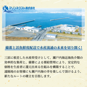 瀬戸内海の豪華な恵み!一夜干し・漬け魚おまかせセット(4~5パック) 魚 肴 おつまみ 海鮮 干物 車エビ 西京漬け 広島レモンサーモン 粕漬け 鯛 タイ ハモ カマス シズ 鱧 かます みそ漬け 味噌漬け ギフト 詰め合わせ プレゼント ギフト 瀬戸内 ランダム 食べくらべ お取り寄せ 056001