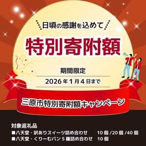 2026年1月4日まで≪特別寄附額≫【八天堂】＜訳あり＞スイーツ詰め合わせ 10個 くりーむ パン 菓子パン スイーツ すいーつ おまかせ お得 ランダム セット お取り寄せ 冷凍 フローズン ギフト 015049
