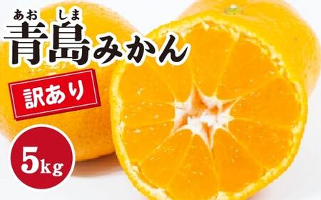 みかん【先行受付】【2026年1月末以降発送】濃厚な甘さが特徴！訳あり青島みかん ＜約5kg＞ 広島 三原 佐木島 鷺島みかんじま 017067