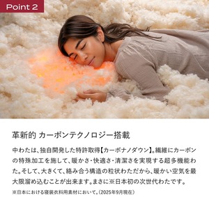 ブレインスリープ コンフォーター パーフェクト ウォーム EX セミダブル（SEMIDOUBLE）掛け布団 ふとん カバー不要 断熱 毛布 サステナブル 219002