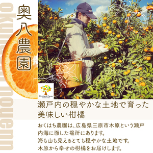【おくはち農園】〈訳あり〉紅八朔 5kg 《2026年2～3月発送予定》栽培期間中 防腐剤 ワックス 不使用 旬 柑橘 かんきつ はっさく フルーツ 果物 瀬戸内 166006 