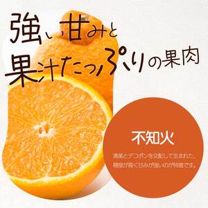 【おくはち農園】〈訳あり〉不知火 （しらぬい）2.5kg  《2026年3月～4月発送予定》栽培期間中 防腐剤 ワックス 不使用 旬 柑橘 かんきつ デコポン フルーツ 果物 瀬戸内 166009 