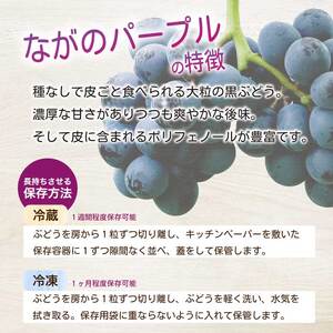 《2026年夏頃発送・先行受付》【ひのきファームランド】 訳あり ぶぶナガノパープル 1kg ぶどう 果物 フルーツ 233002