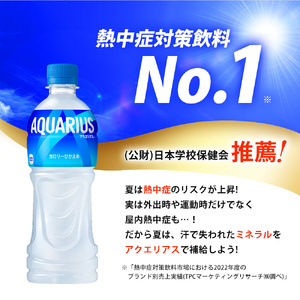 アクエリアス 500ml 24本 セット ペットボトル 広島 三原 コカ・コーラボトラーズ 飲料 ドリンク スポーツドリンク