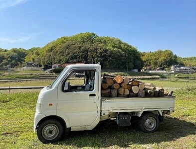 薪ストーブに最適！しっかり暖かい「カシ・クヌギ」乾燥薪（30cm）24kg×3セット  アウトドア キャンプ 暖炉 焚き火 002003