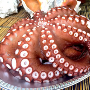 ゆでダコ(S) 1匹 茹でダコ タコ たこ 蛸 瀬戸内 019006 | 広島県三原市