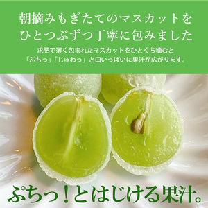 【先行受付】ひとつぶのマスカット 6個入り 2026年5月中旬以降発送予定 共楽堂 夏季限定品 ぶどう ブドウ スイーツ デザート 和菓子 お菓子 018001
