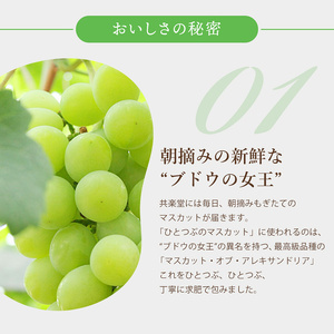 【先行受付】ひとつぶのマスカット 6個入り 2026年5月中旬以降発送予定 共楽堂 夏季限定品 ぶどう ブドウ スイーツ デザート 和菓子 お菓子 018001