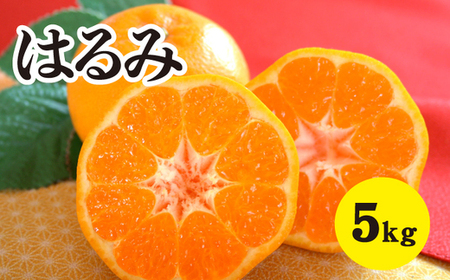 希少☆はるみ☆　9キロ　　広島県産　みかん 1-300x200.webp