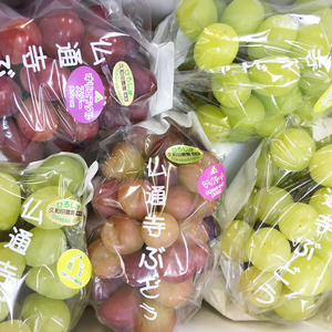 【先行受付】久和田農園の朝採り ぶどう 詰め合わせ 2kg 葡萄 ブドウ 食べ比べ フルーツ 果物 2026年お届け 広島県 三原市 034008