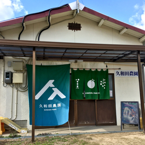 【先行受付】久和田農園の朝採り ぶどう 詰め合わせ 2kg 葡萄 ブドウ 食べ比べ フルーツ 果物 2026年お届け 広島県 三原市 034008