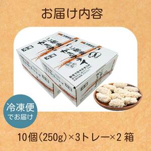 【不漁に負けるな！】広島県産かき使用！ご馳走かきフライ 2箱 カキフライ 牡蠣 小分け 冷凍 おかず 惣菜 揚げ物 簡単調理 三原市 タカノブ食品 022002