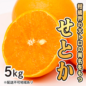 先行予約】せとか約5kg【2025年2月以降発送】希少 広島 三原 佐木島 鷺島みかんじま フルーツ 蜜柑 柑橘 果物 みかん ミカン 産地直送  お取り寄せ 017021 | 広島県三原市 | ふるさと納税サイト「ふるなび」