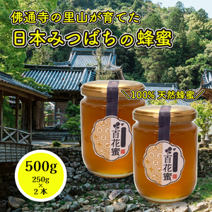 国産 天然蜂蜜 】 はちみつ 日本みつばち 百花蜜 500g（250g×2個） たれ蜜製法 純粋ハチミツ 和蜜倶楽部 108002 | 広島県三原市  | ふるさと納税サイト「ふるなび」